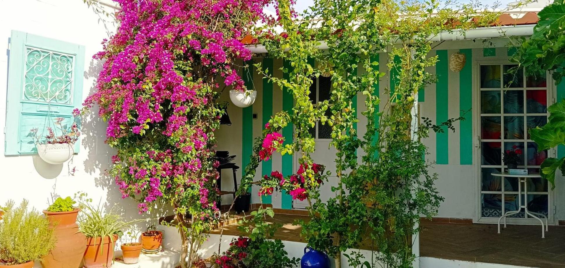 Carrion de Los Cespedes Casa Con Piscina Cerca De Sevilla מראה חיצוני תמונה