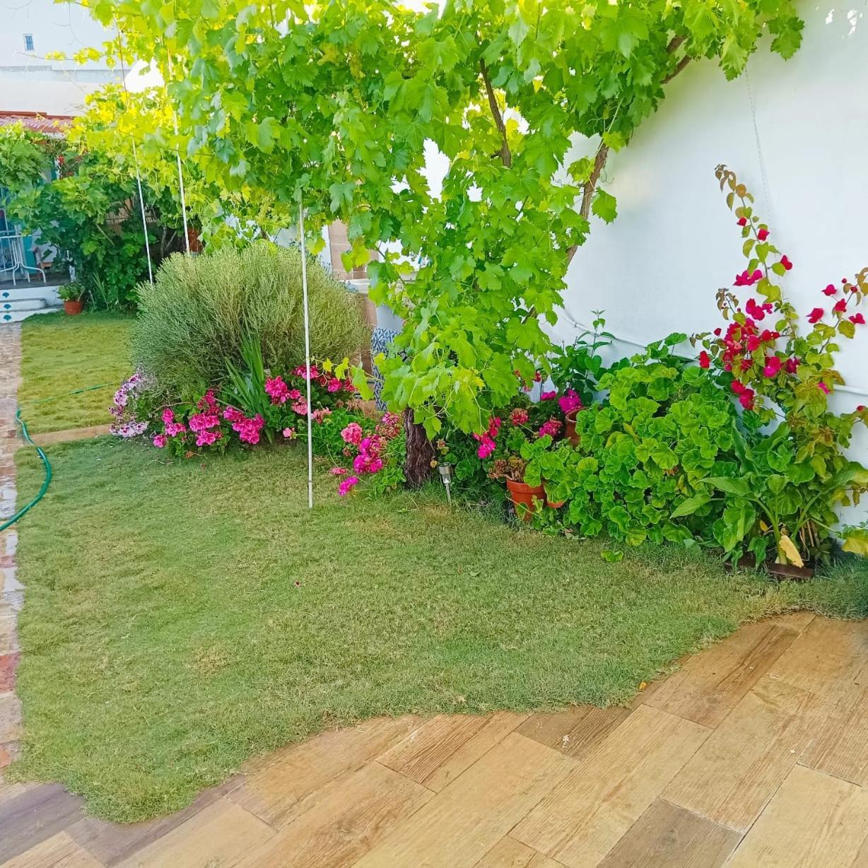 Carrion de Los Cespedes Casa Con Piscina Cerca De Sevilla מראה חיצוני תמונה